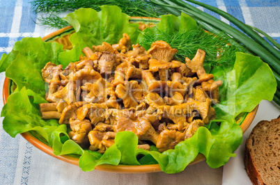 Fried mushrooms of chanterelle on a dish together with lettuce l
