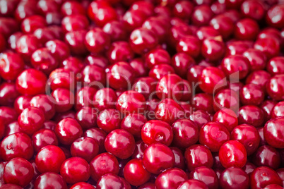 Large ripe fruits of cherry (the background image)