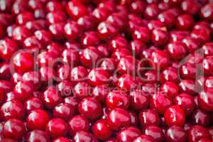 Large ripe fruits of cherry (the background image)