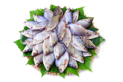 River fish (carp) and the greens on a round dish.