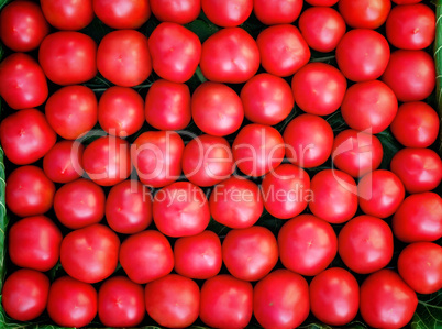 Ripe tomatoes of bright red color of the small size.