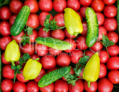 Mature tomatoes of bright red color of the small size, pepper an