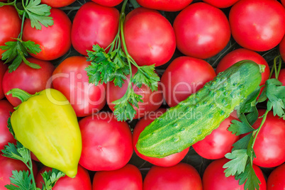 Mature tomatoes of bright red color of the small size, pepper an