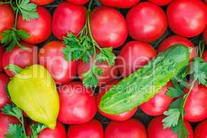 Mature tomatoes of bright red color of the small size, pepper an
