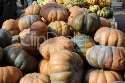 Pumpkins