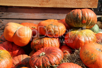 Pumpkins