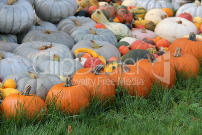 Pumpkins