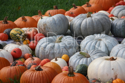 Pumpkins