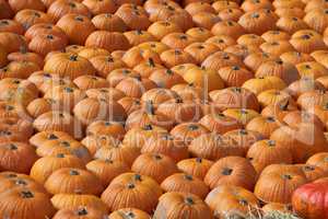 Pumpkins