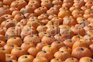 Pumpkins