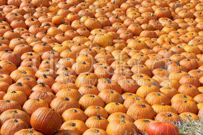 Pumpkins