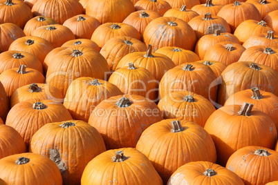 Pumpkins