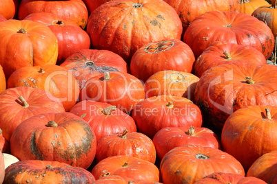 Pumpkins