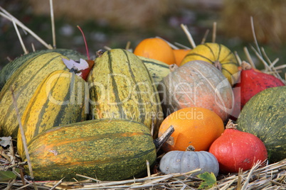 Pumpkins