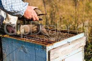 Beekeeper workind on beehvies