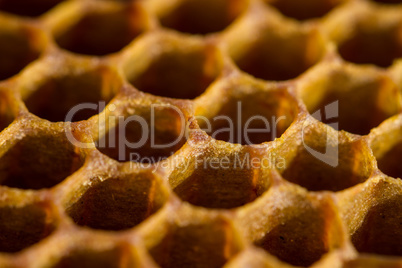 Honeycomb cells closeup from beehive