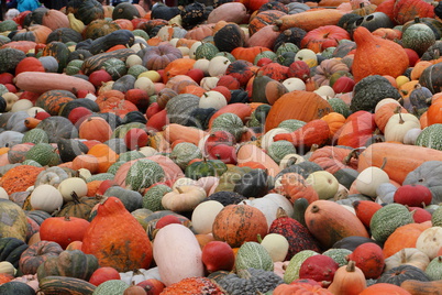 Pumpkins