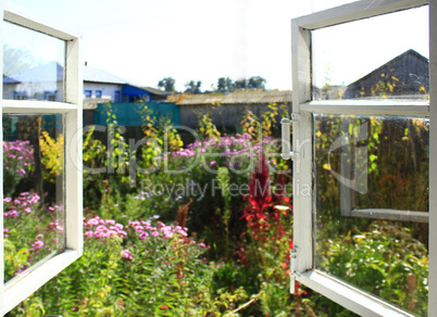 opened window to the summer garden