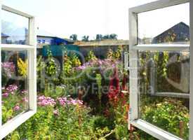 opened window to the summer garden