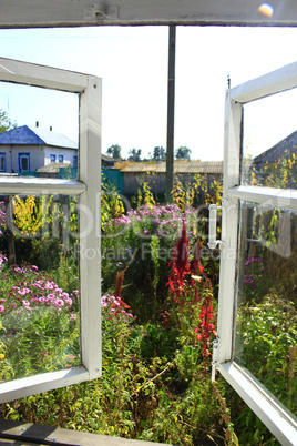 opened window to the summer garden