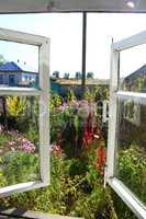 opened window to the summer garden