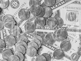 Black and white Dollar coins and notes