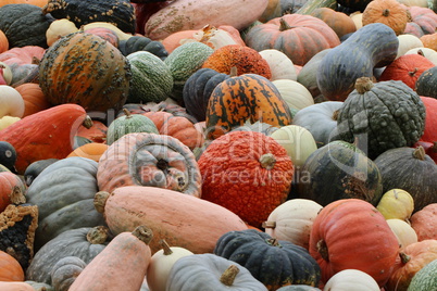 Pumpkins