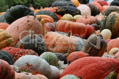 Pumpkins