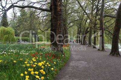 In the spring park