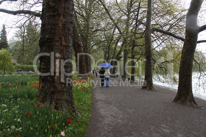 In the spring park