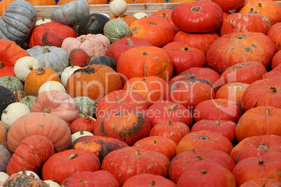 Pumpkins