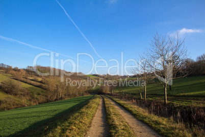 Rural landscape