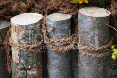 Wooden stakes associated with rope