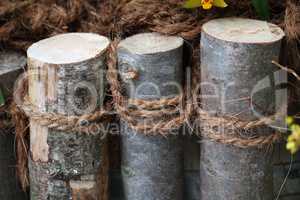 Wooden stakes associated with rope