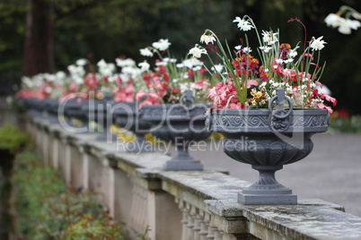 Beautiful decorative vases with flowers