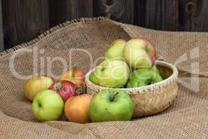 Apples