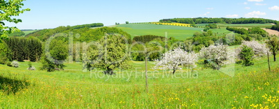 Frühlingslandschaft Panorama