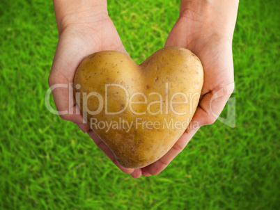 Potato shaped heart in the hands on green grass