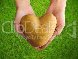 Potato shaped heart in the hands on green grass