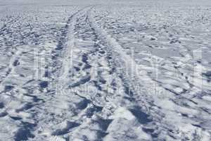 Wheel track and human footprints on the snow
