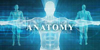 Anatomy