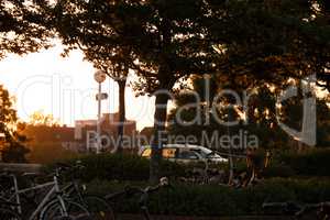 Evening on Park with Bikes