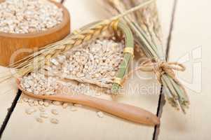 organic wheat grains