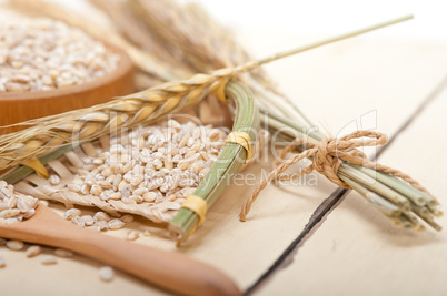 organic wheat grains