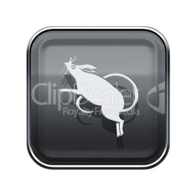 Rat Zodiac icon grey, isolated on white background.