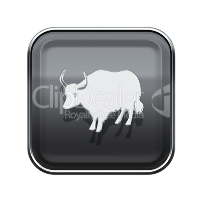 Ox Zodiac icon grey, isolated on white background.