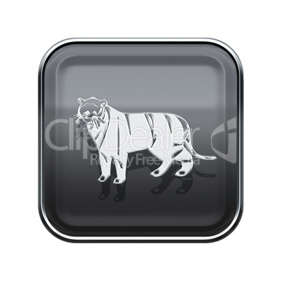 Tiger Zodiac icon grey, isolated on white background.