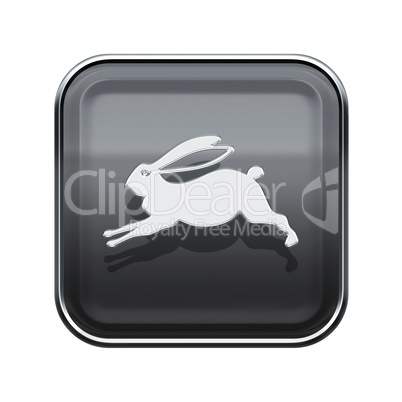 Rabbit Zodiac icon grey, isolated on white background.