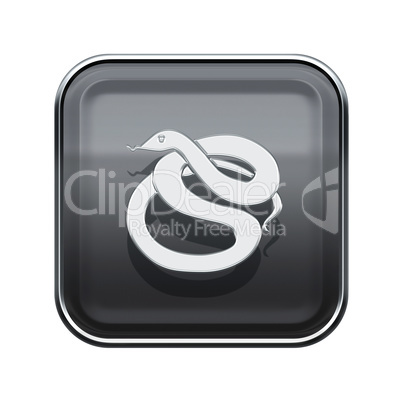 Snake Zodiac icon grey, isolated on white background.