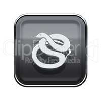 Snake Zodiac icon grey, isolated on white background.